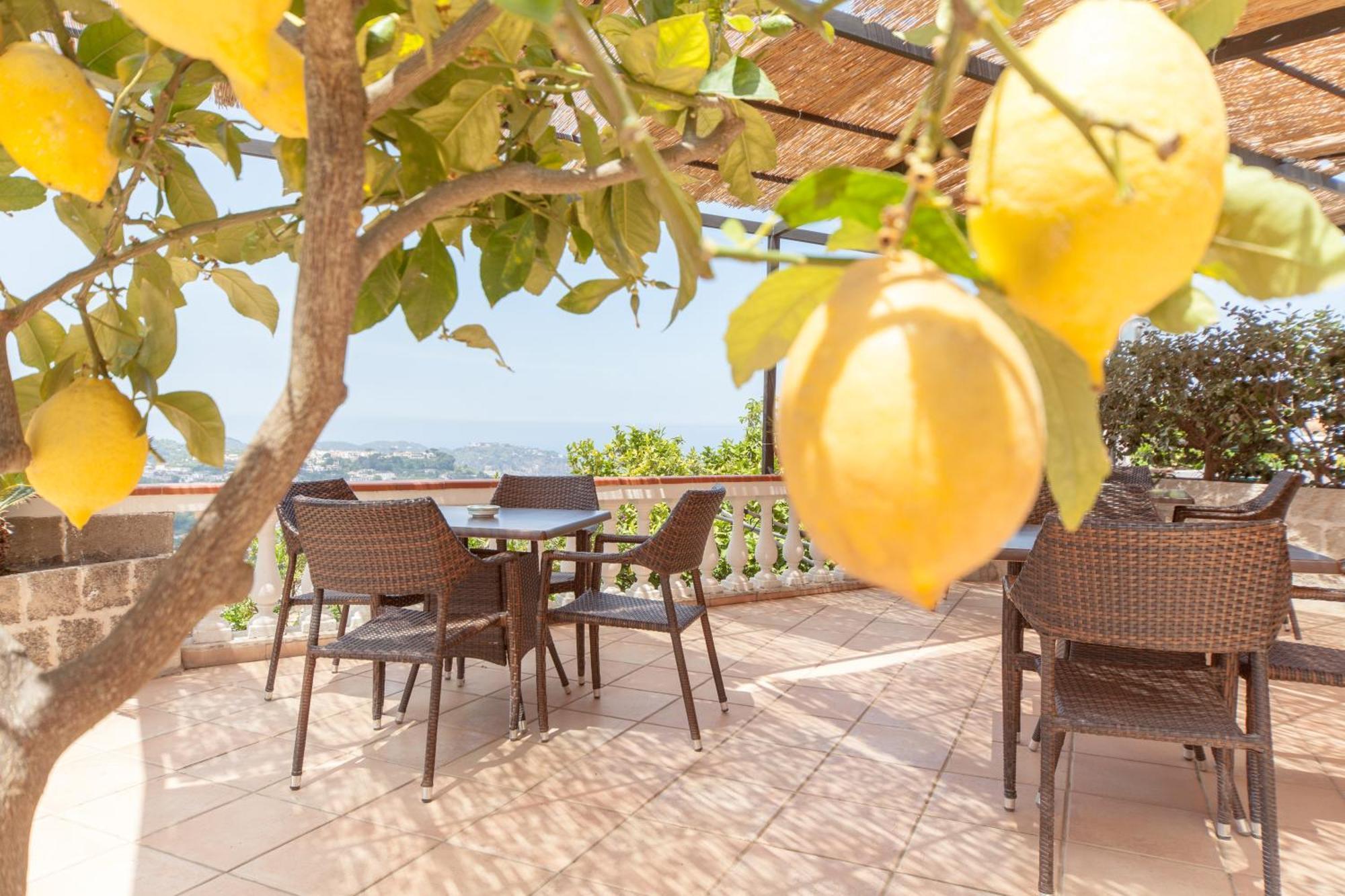 Hotel Ape Regina Casamicciola Terme Buitenkant foto